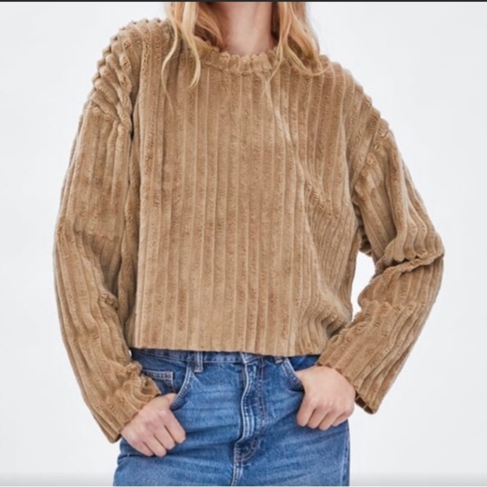 Zara Plush Sweater, Small